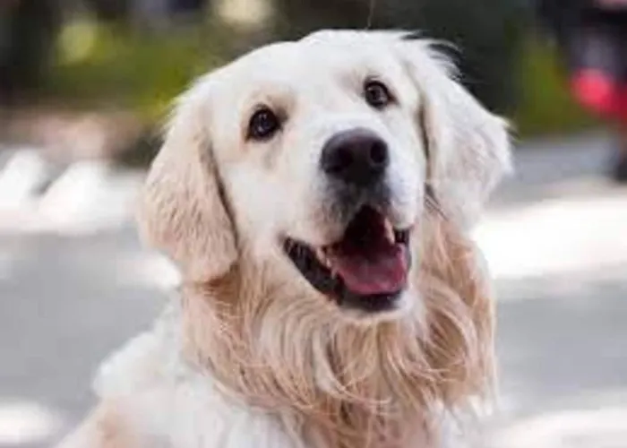 בית נופש Erdgeschosswohnung In Ruhiger Lage *